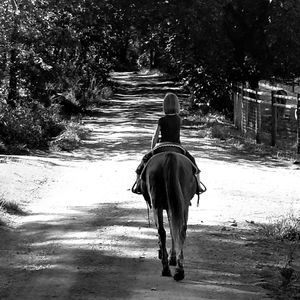 Meet your Posher, !!! Flip Fashion !!!